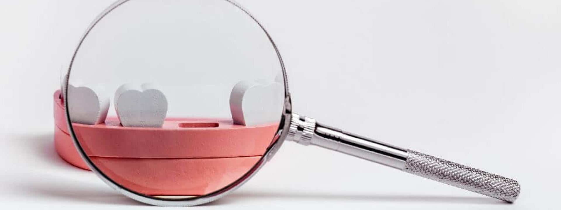 Jaw model without tooth with magnifying glass. 